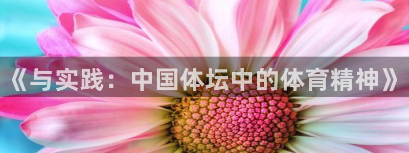哈哈体育下载：《与实践：中国体坛中的体育精神》