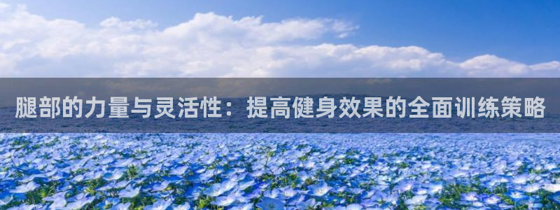 哈哈体育下载：腿部的力量与灵活性：提高健身效果的全面训练策略