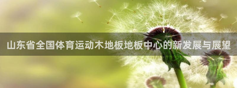 哈哈体育：山东省全国体育运动木地板地板中心的新发展与展望