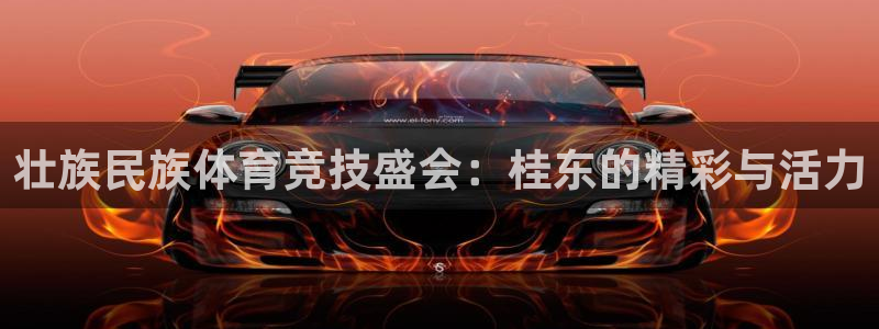 哈哈体育十年：壮族民族体育竞技盛会：桂东的精彩与活力