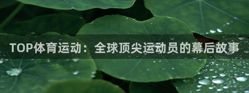 哈哈体育十年：TOP体育运动：全球顶尖运动员的幕后故事
