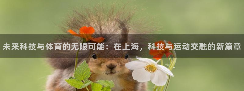 哈哈体育十年：未来科技与体育的无限可能：在上海，科技与运动交融的新篇章