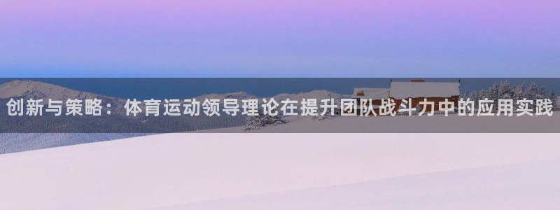 哈哈体育十年：创新与策略：体育运动领导理论在提升团队战斗力中的应用实践