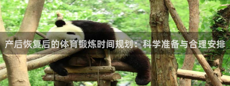 哈哈体育下载：产后恢复后的体育锻炼时间规划：科学准备与合理安排