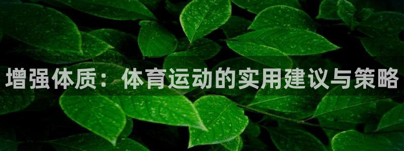 哈哈体育下载：增强体质：体育运动的实用建议与策略