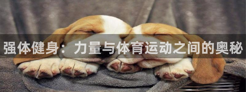 哈哈体育下载：强体健身：力量与体育运动之间的奥秘