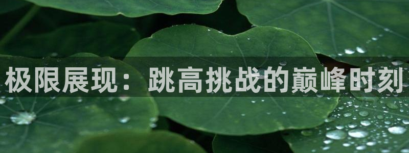 哈哈体育下载：极限展现：跳高挑战的巅峰时刻