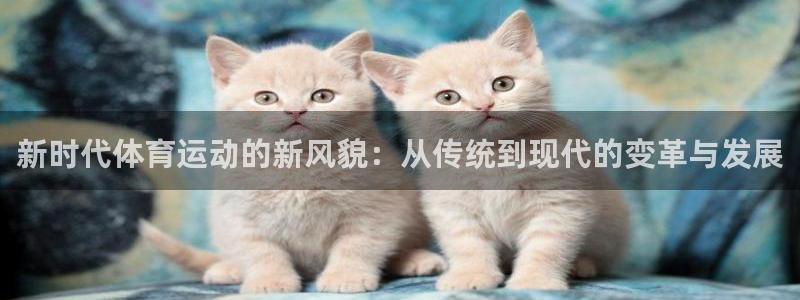 哈哈体育：新时代体育运动的新风貌：从传统到现代的变革与发展